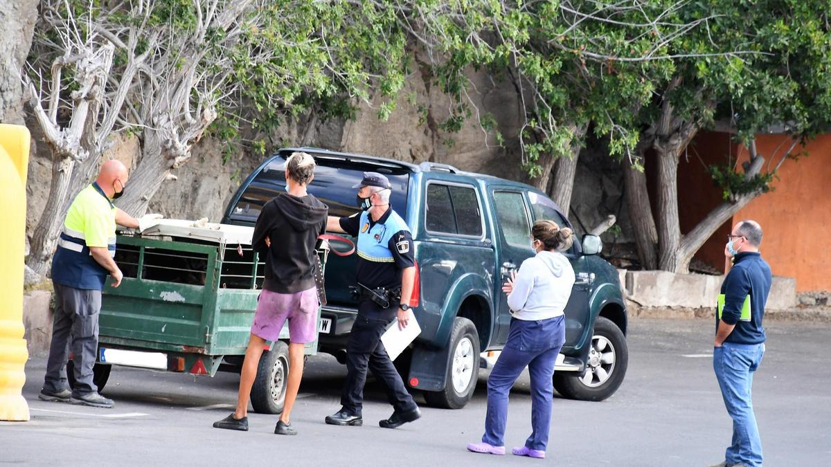 La Policía Local de Mogán incauta 6 perros potencialmente peligrosos en Playa del Cura