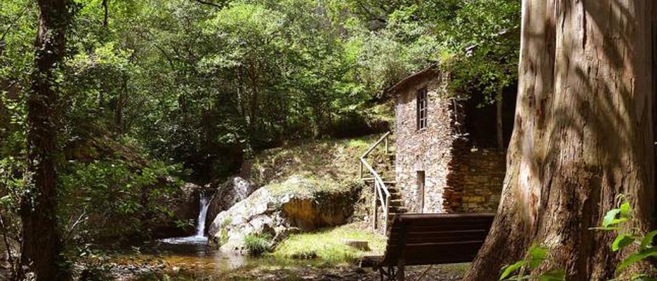 1 La poza que forma el río Acebal; el viejo molino, el banco y el gran eucalipto. 2 Vieja rueda de molino junto al pozo. 3 Vista general del pozo Mouro. 4 Bajada al pozo por las escaleras del molino.