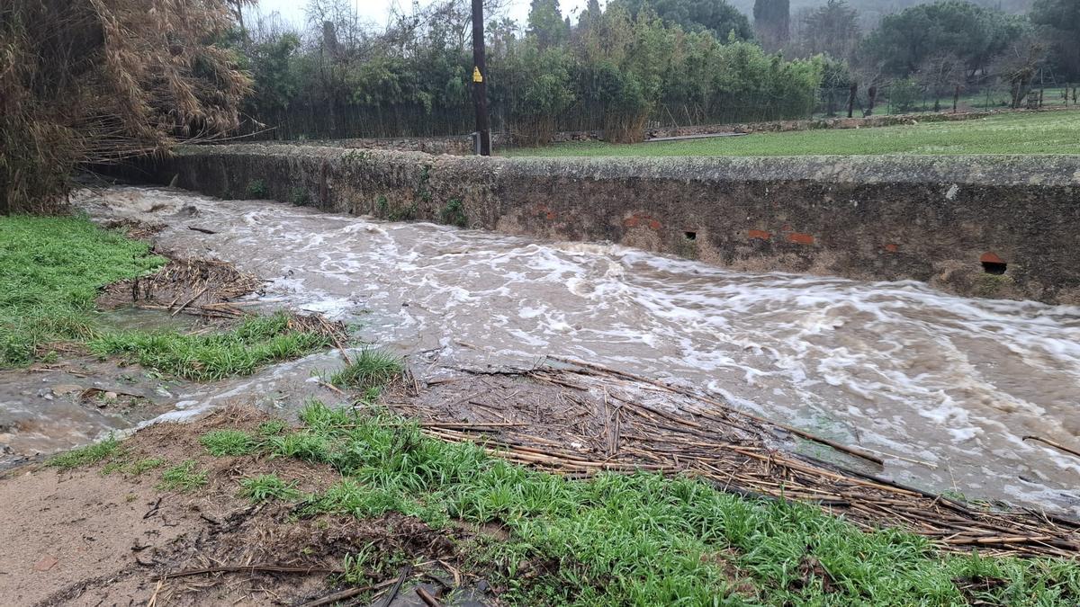 Les fotos dels efectes de la llevantada a les comarques gironines