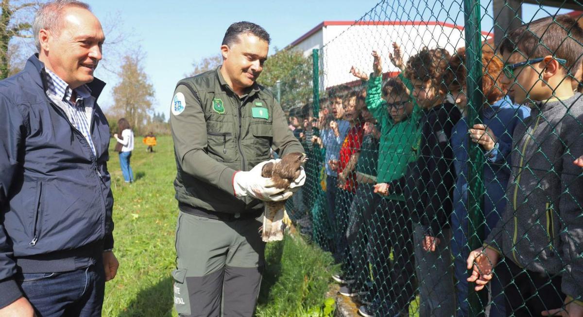 El alumnado asiste a la liberación de un ave milano. 