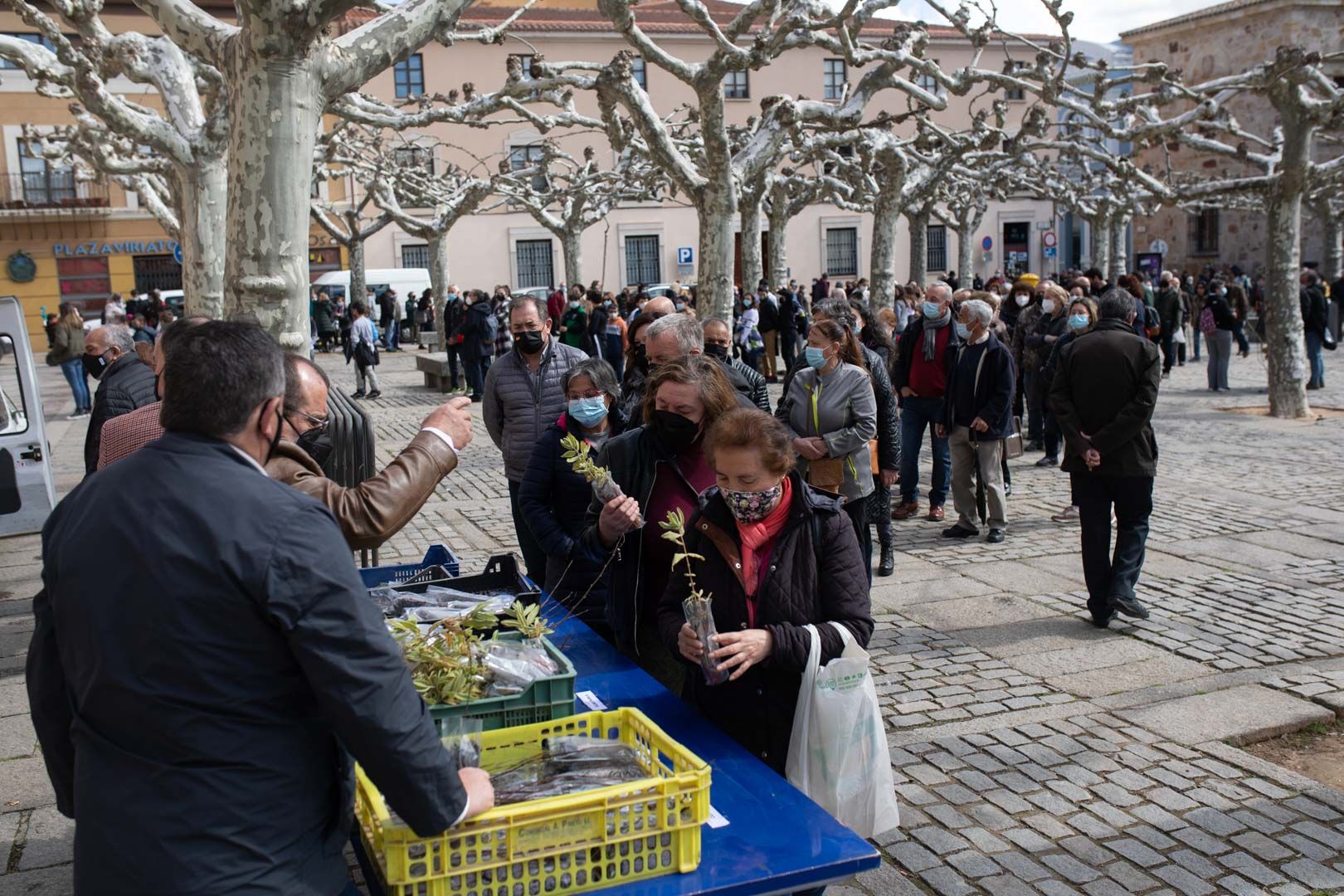 GALERÍA | La Diputación de Zamora celebra el Día del Árbol