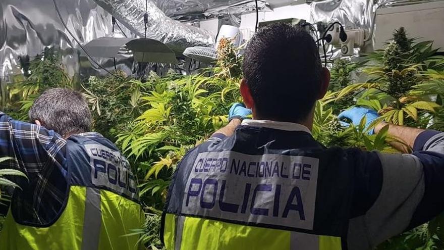 La venta de droga en Baladre lleva a desarticular dos bandas con narcopisos