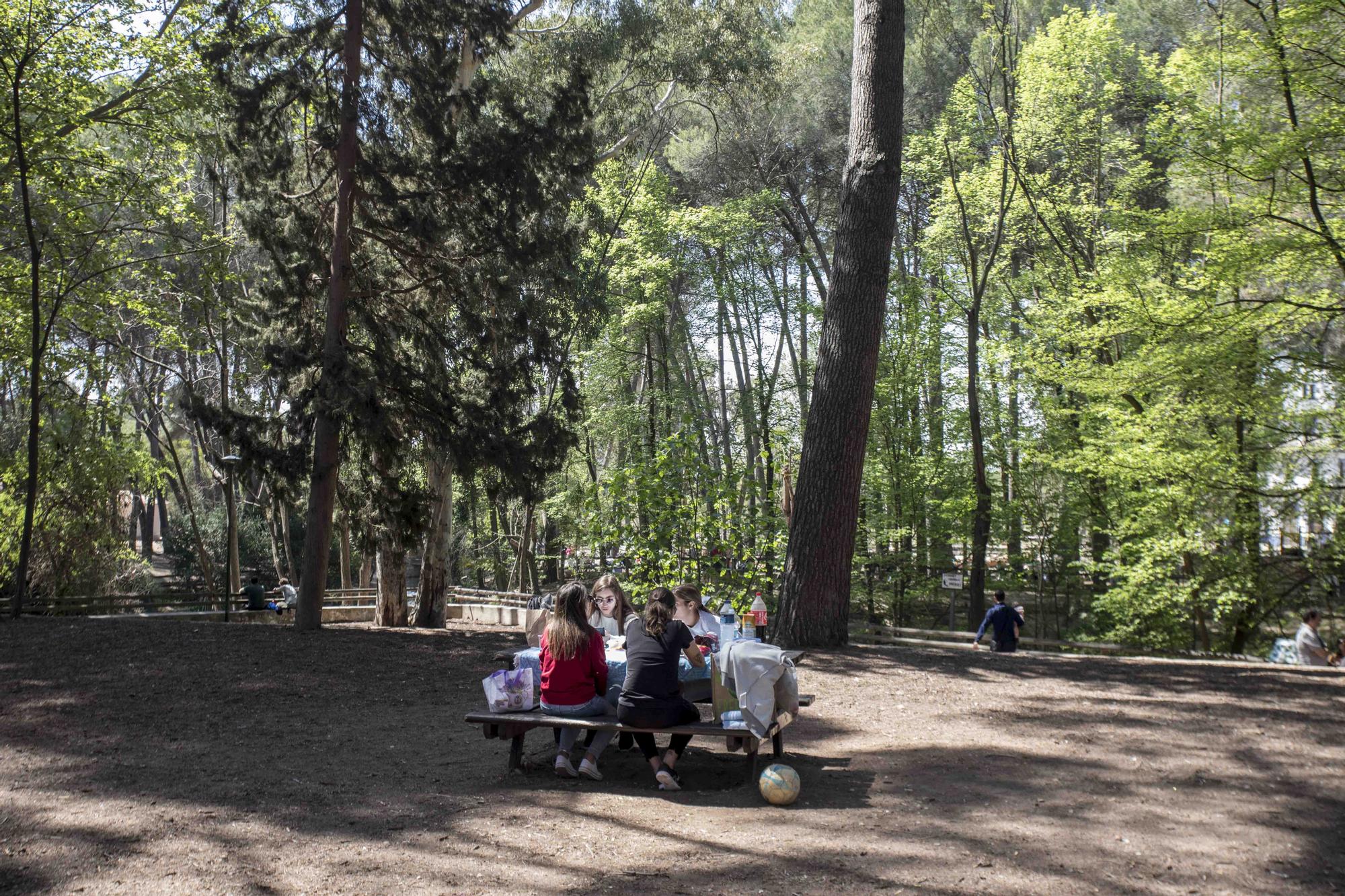 El Parc d San Vicent de Lliria vuelve a llenarse de familias dos años depués