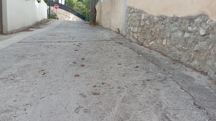 Huellas para la lejana posteridad en calle Axarquía