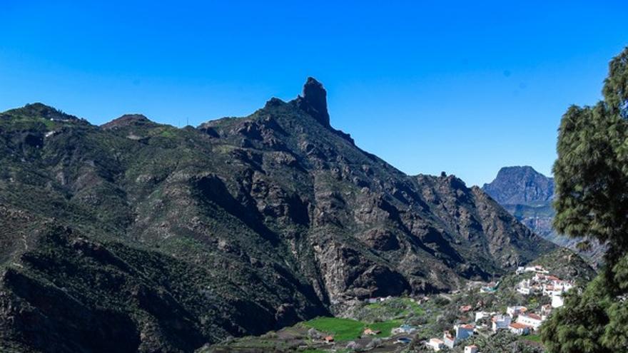 Almendros en flor en la Cumbre de Gran Canaria