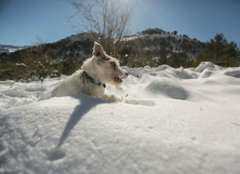 Un día de nieve en Confrides y Serrella.