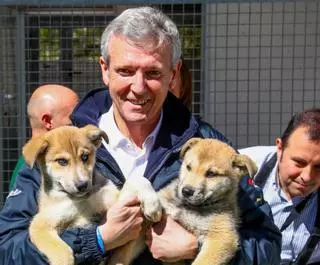 Rueda, en el CAAN de Meis: “Los animales de compañía mejoran la vida de las personas”