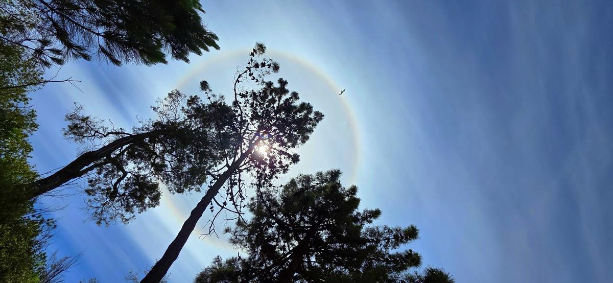 El fenómeno natural, en otra imagen también desde el gran arenal vigués.