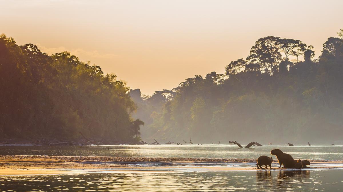 Mapa interactivo: 11 lugares imprescindibles de Perú