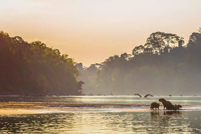 Mapa interactivo: 11 lugares imprescindibles de Perú