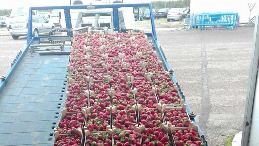 La Policía Local de Badajoz decomisa 420 kilos de fresas y 4 cajas de espárragos