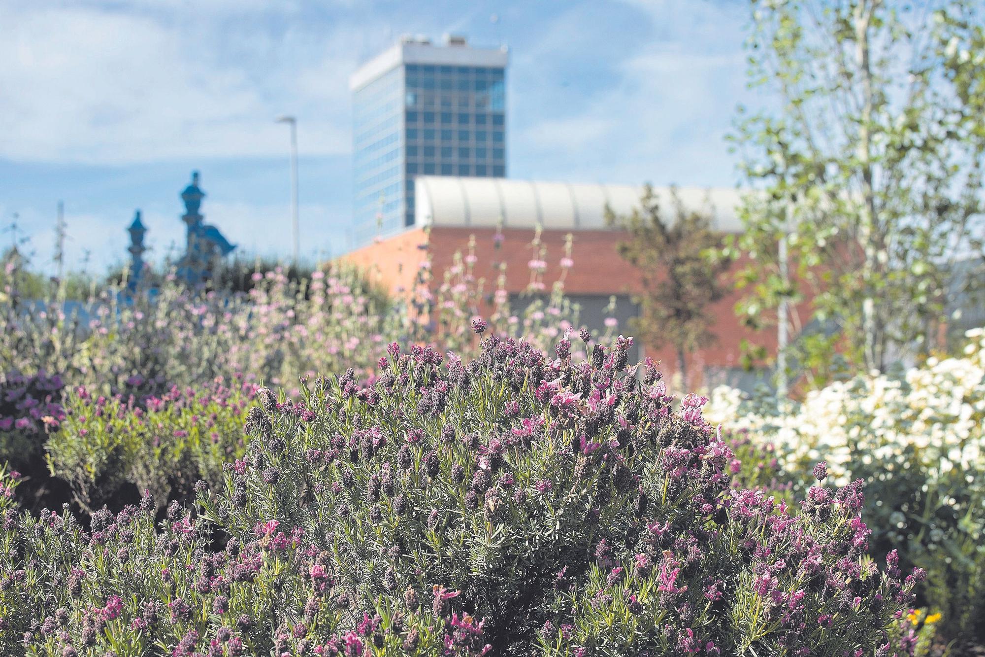 El agua, clave en la transformación ecológica de las ciudades