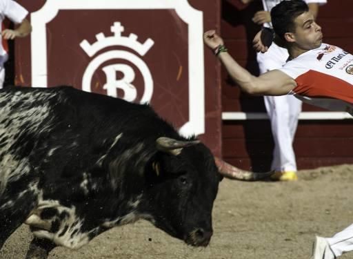 Concurso de cortes en la Plaza de Toros de Benaven