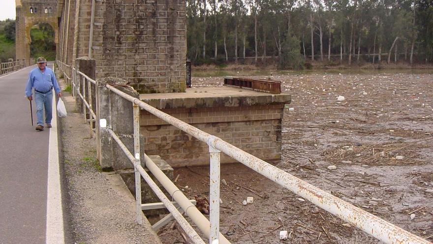 Especial Medioambiente 2023: La importancia de proteger el planeta