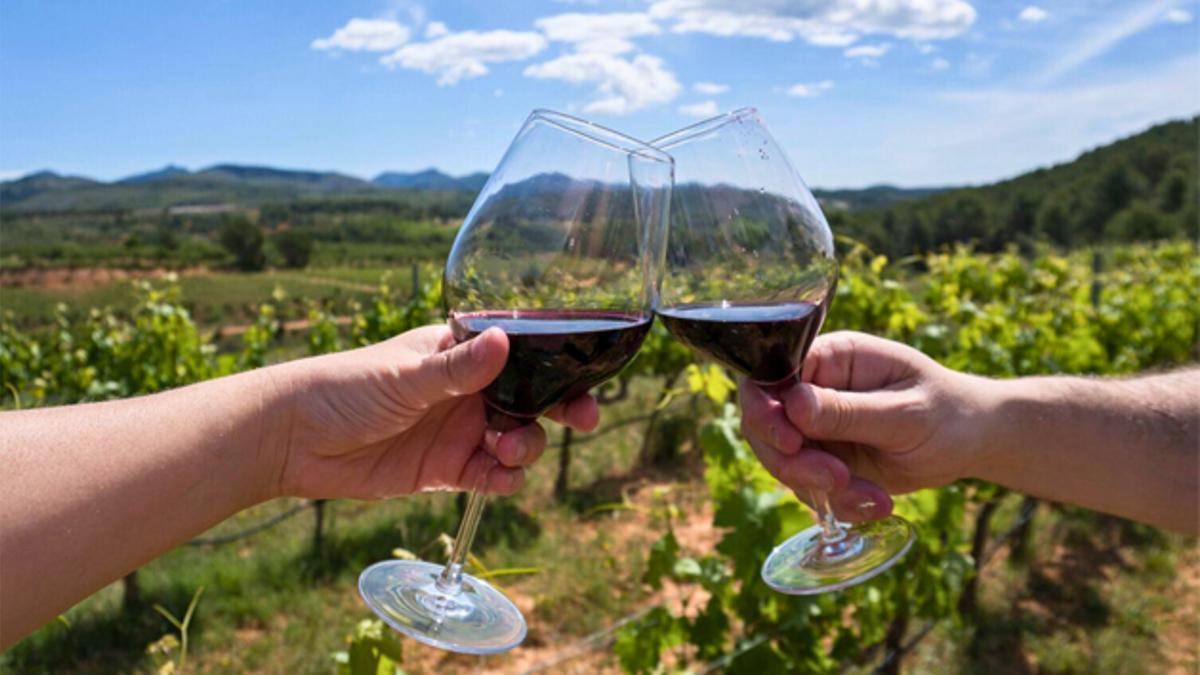 Los vinos y aceites de la Cooperativa de Viver se comercializan en medio mundo.