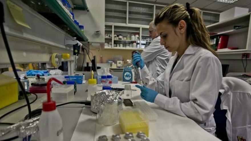 Universidad Miguel Hernández Estudio de las posibilidades que ofrece la genética