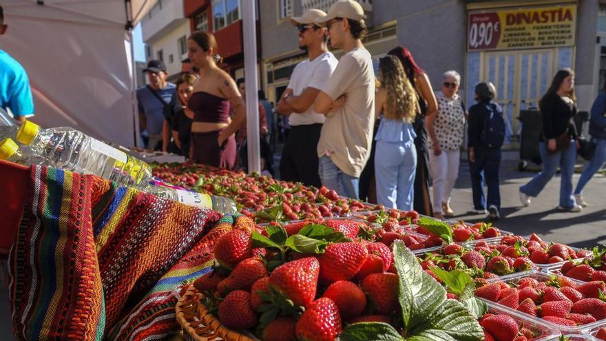 XI Feria de la Fresa, en Valsequillo