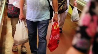 Nuevo retraso de la prohibición de las bolsas de plástico gratuitas