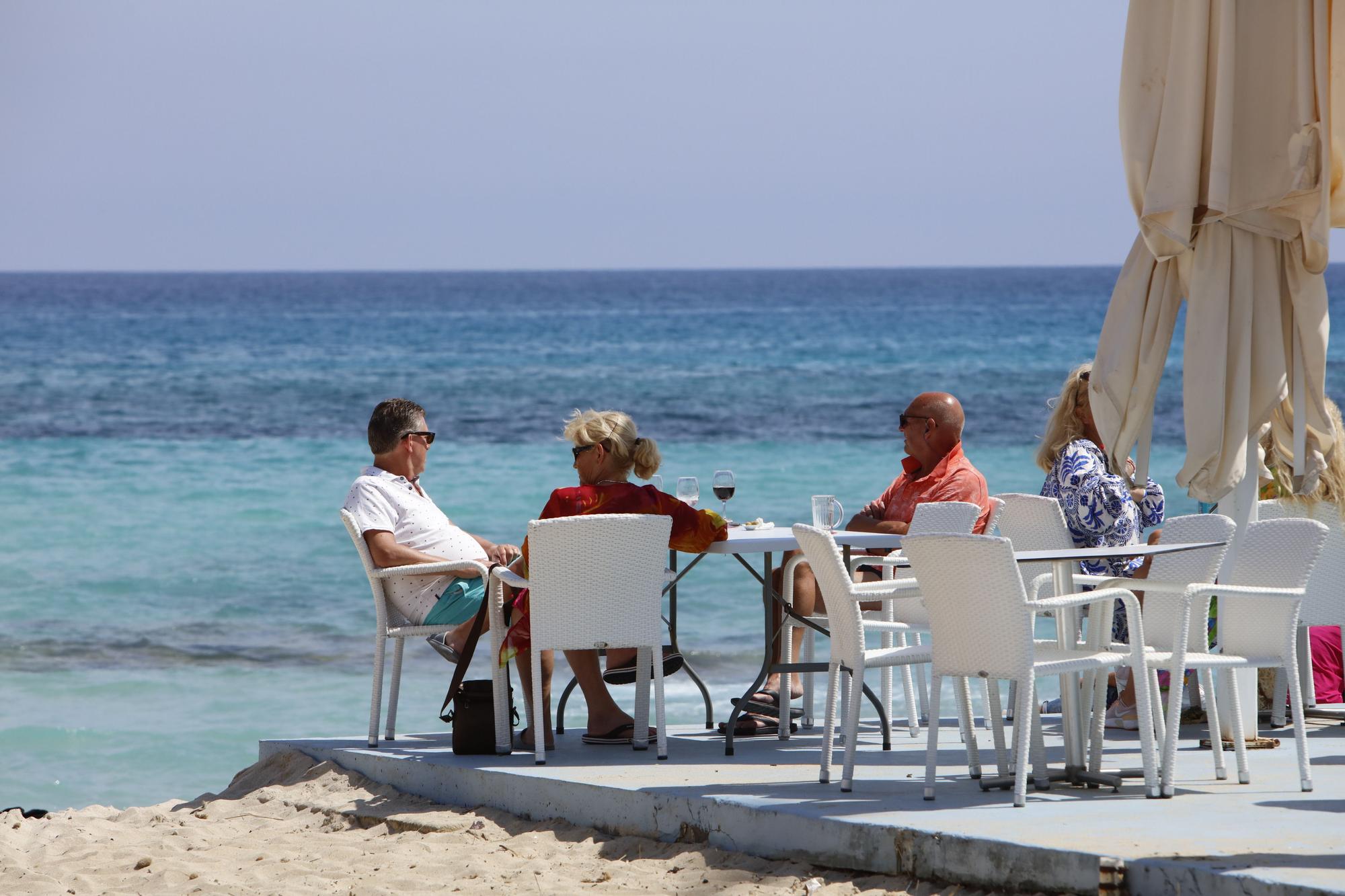 Frühlingsgefühle an der Promenade von Cala Ratjada