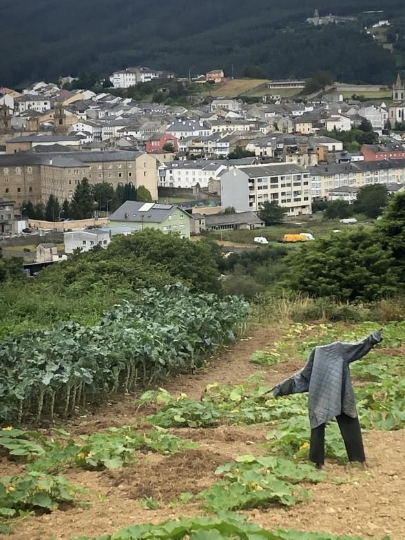 El espantapájaros que “vigila” Mondoñedo. 