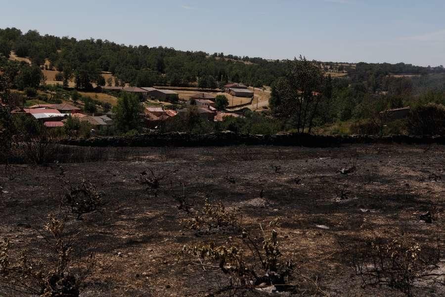 Incendio Arribes (domingo)