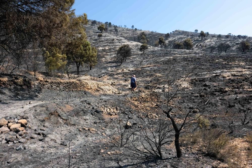 Así ha quedado la zona tras el incendio.