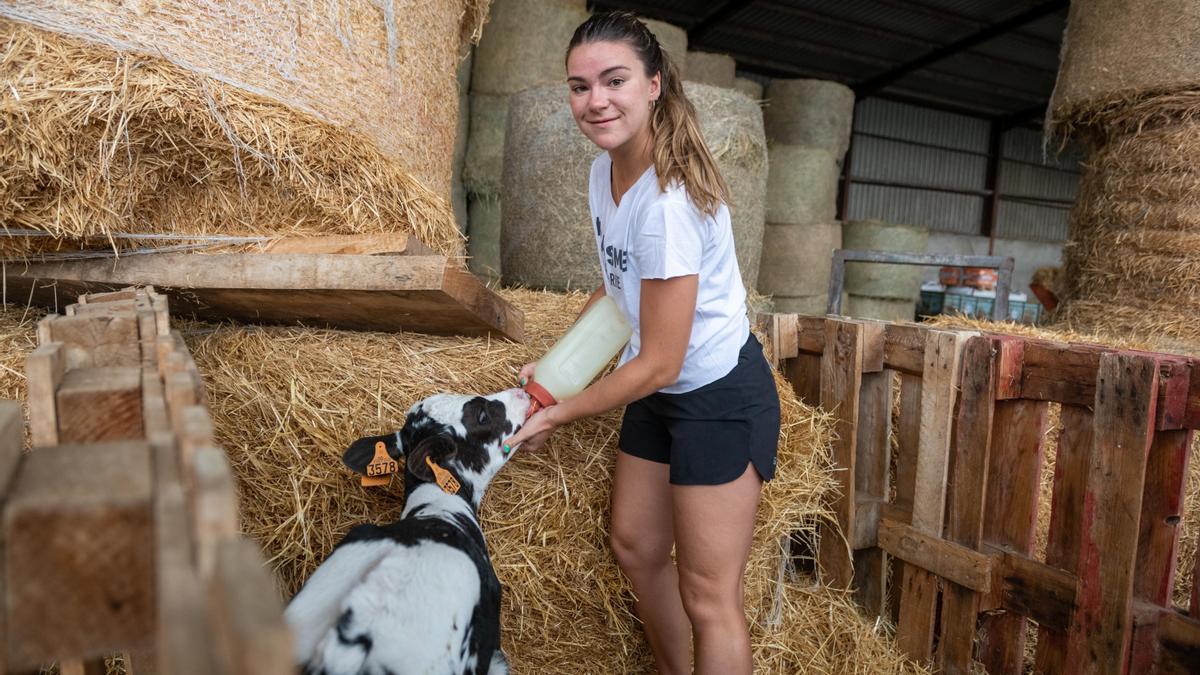 Laia Angrill alletant un vedell a la seva granja.