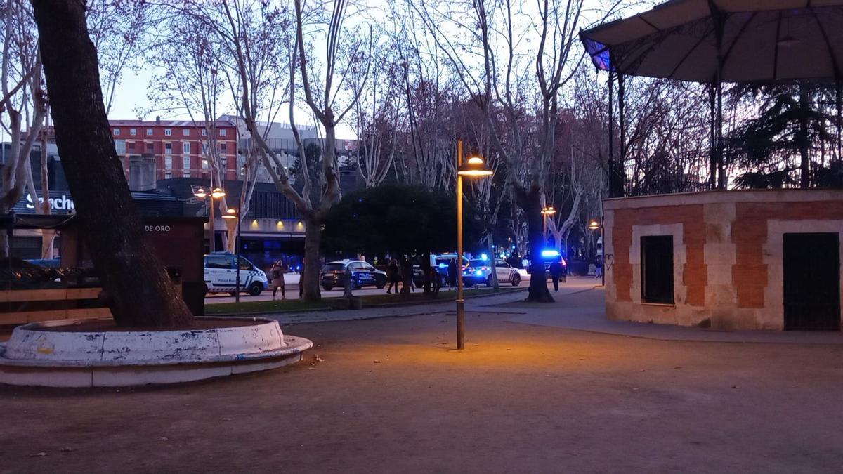 Varios coches patrulla de Policía Municipal y Nacional en el lugar del suceso.