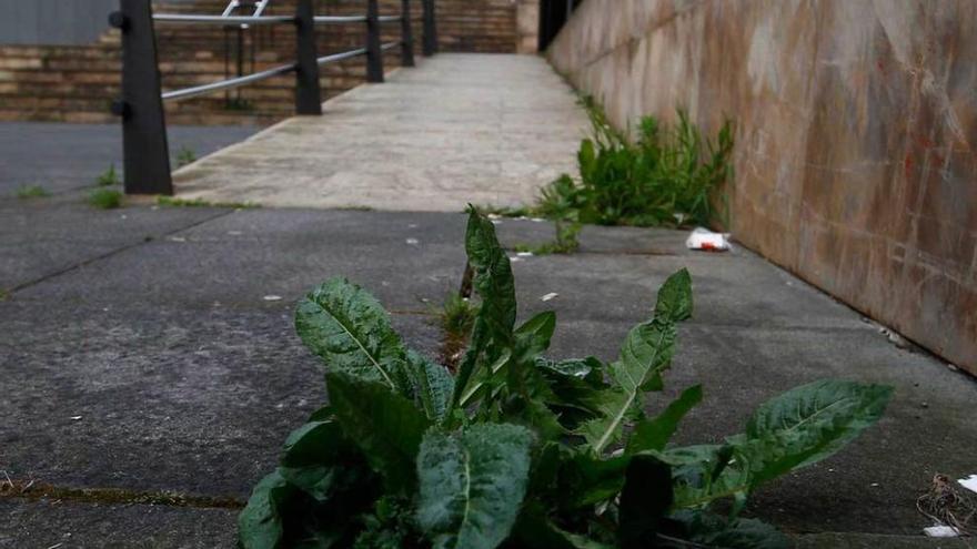 Desconchones y grietas en las escaleras al Palacio de Justicia