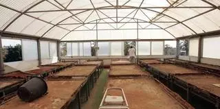 El Ayuntamiento transformará la Estación Phoenix de la palmera en recinto cultural