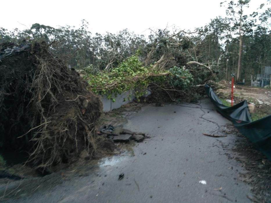 Los efectos del temporal Kurt en Arousa