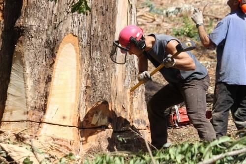 La caída de un gigante