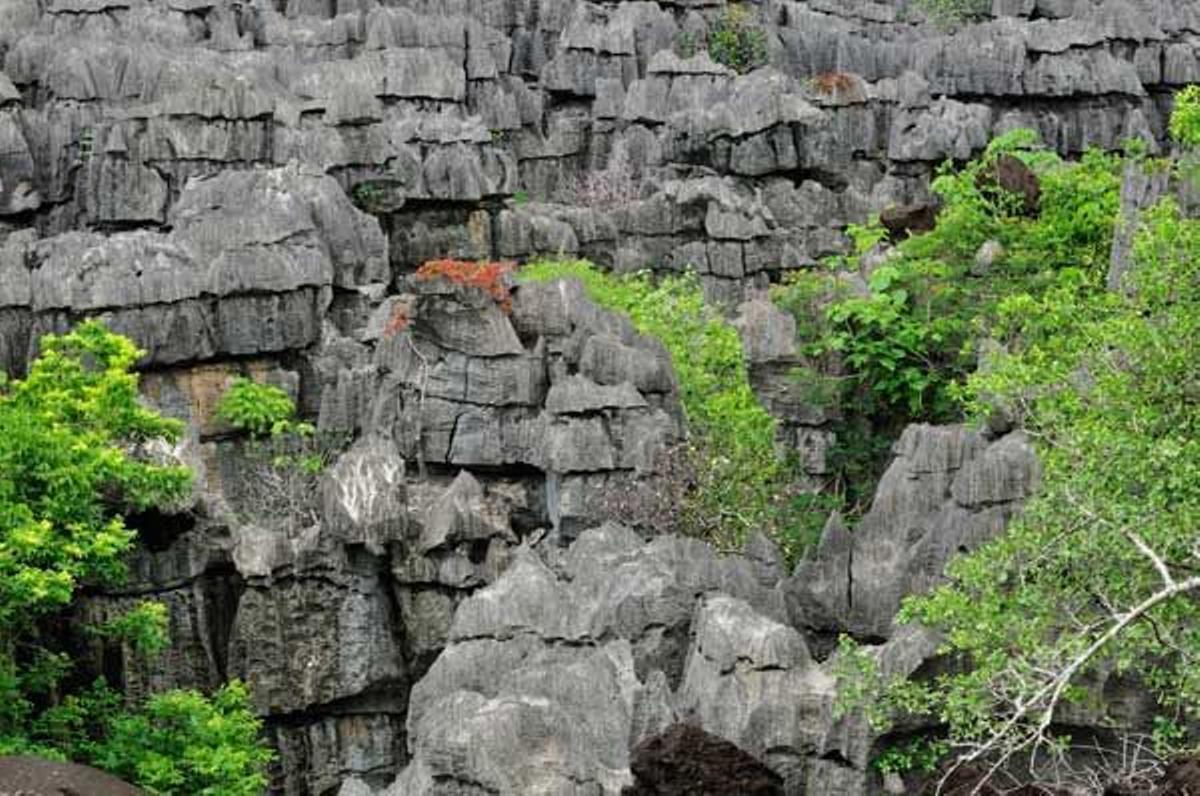 Cañón de paredes de piedra en el Parque Nacional de Ankarana.