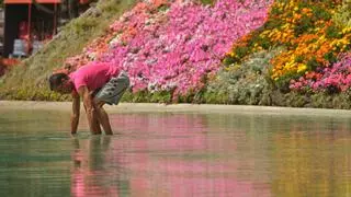 El sofocante calor del verano de 2023 acabó con la vida de 250 personas en Canarias