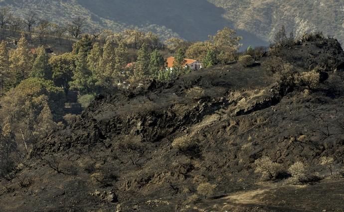 27/09/2017 CUMBRE DE GRAN CANARIA. Consejero del Gobierno de Canarias Morales del incendio. FOTO: J. PÉREZ CURBELO