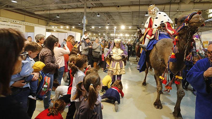 Consulta los programas de fiestas de toda la provincia de Alicante