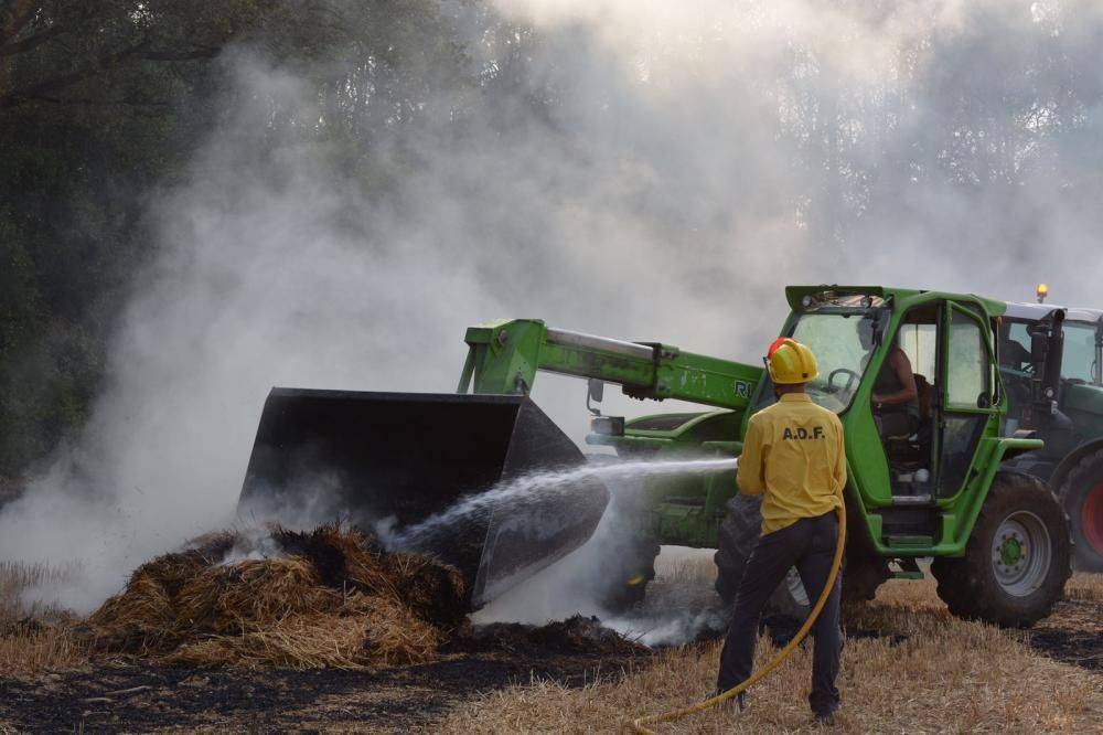 Els Bombers apaguen un foc a Vilademuls