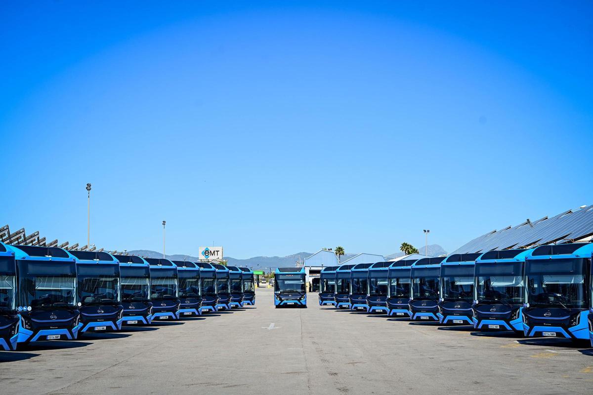 Los 23 nuevos autobuses eléctricos que se incorporarán progresivamente a la flota de la Empresa Municipal de Transports (EMT) de Palma