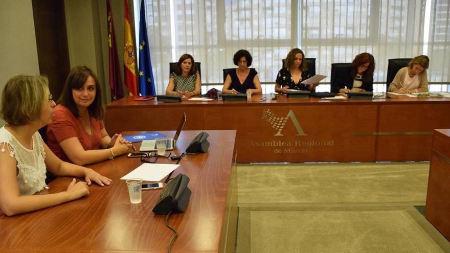 Lola Frutos compareció ayer ante la Comisión Especial contra la Discriminación y la Violencia de Género de la Asamblea Regional.