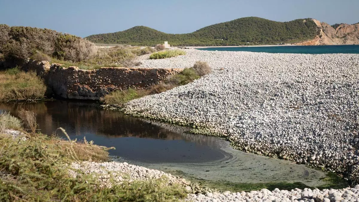 Contaminación en Ibiza: vuelve el vertido de aguas fecales al litoral de es Codolar