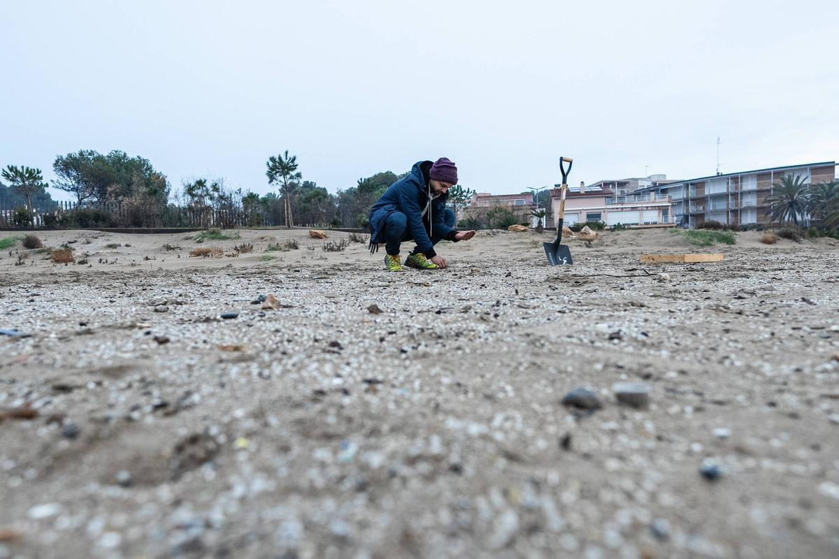 Pélets de plástico en la playa de la Pineda, en Vila-Seca