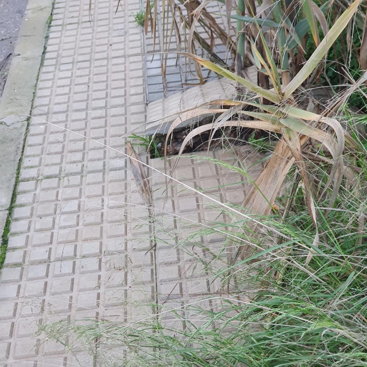 Uno de los motivos de queja del PSOE.