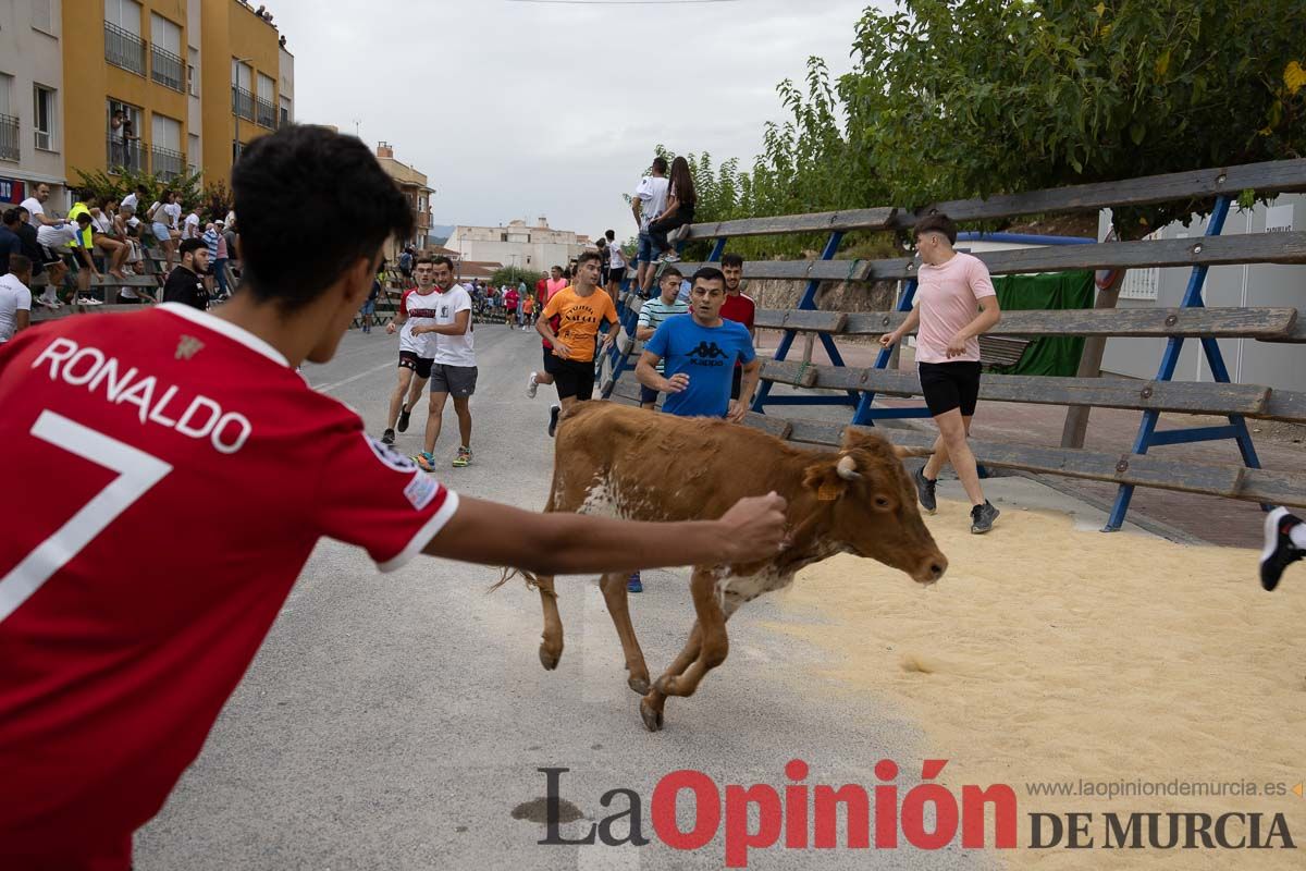 Chupinazo y encierro chico en Calasparra