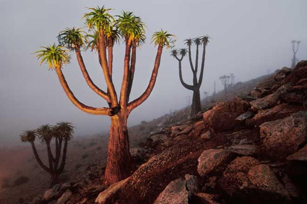 Parque Nacional Richtersveld, en Sudáfrica.