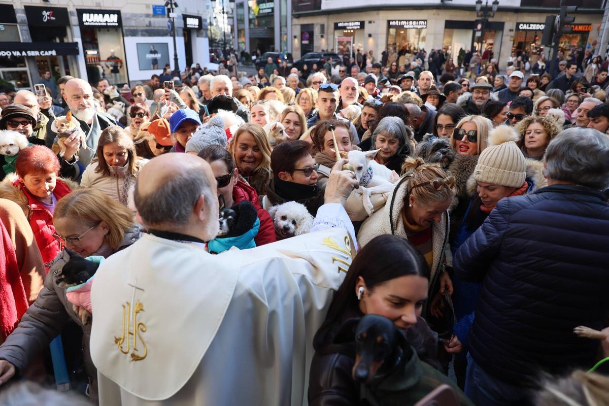 EN IMÁGENES: Oviedo bendice a sus mascotas por San Antón