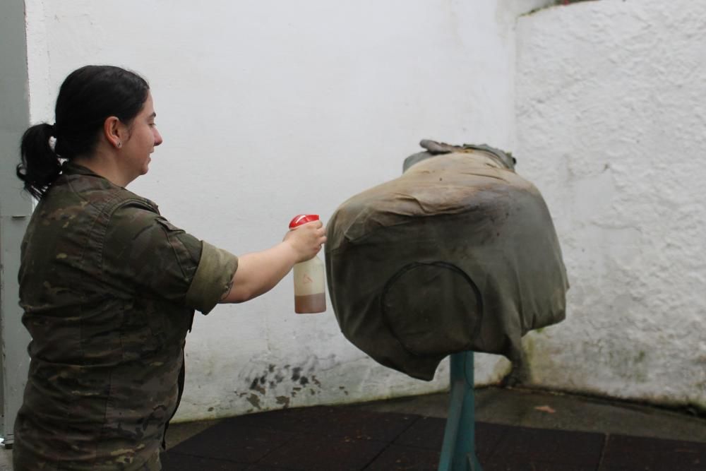 Embestidas militares de 600 millones de espermatozoides para las yeguas asturianas