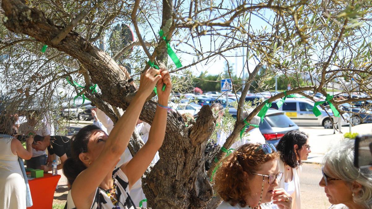 Participantes en el acto del Día Nacional del Donante colocan cintas verdes en el Árbol de la Vida del Hospital Universitario de Badajoz