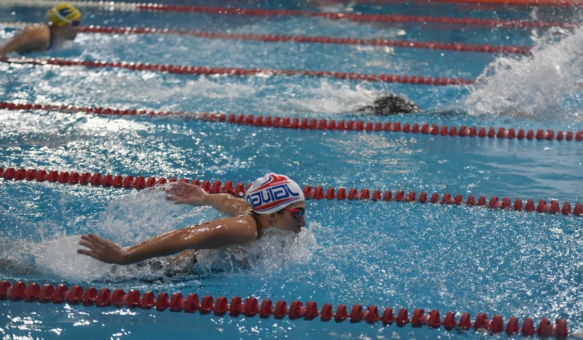 Una nadadora del Navial, en una prueba de mariposa de la pasada edición del Trofeo Ciudad de Córdoba de natación.