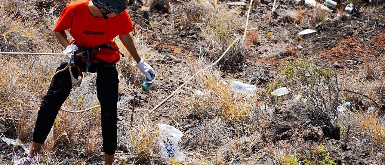 Los voluntarios que participaron en la jornada de limpieza de las laderas de la carretera de Igueste de San Andrés recogieron sobre todo botellas y latas, el 80% del total de la basura encontrada en dicha zona.