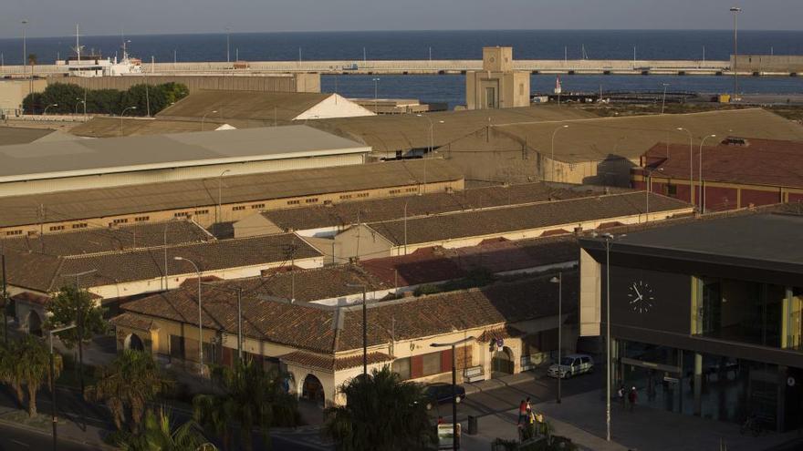 Guanyar reclama al Puerto de Alicante que proteja el barrio Heliodoro Madrona y dos mareógrafos en la zona de Levante